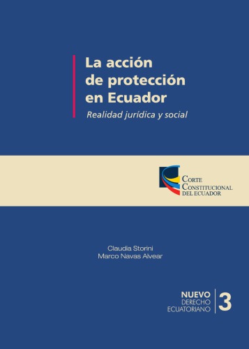 La acción de protección en Ecuador: realidad jurídica y social