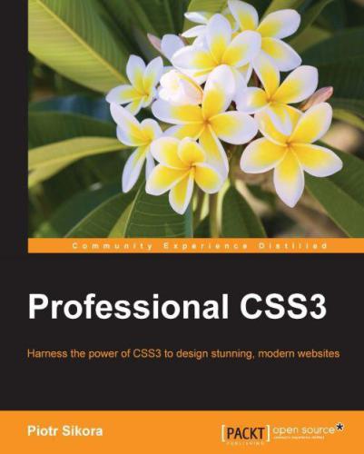 Professional CSS3