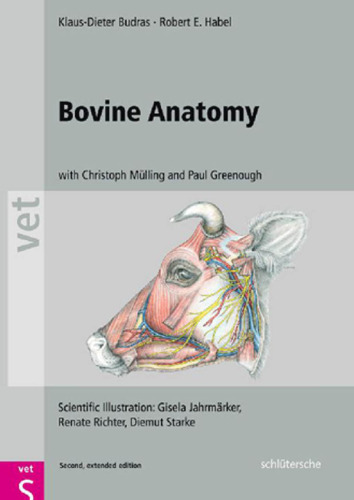 Bovine Anatomy: An Illustrated Text