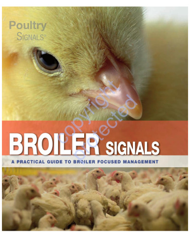 Broiler Signals