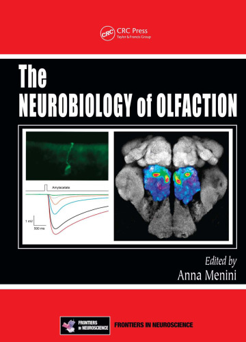 The neurobiology of olfaction