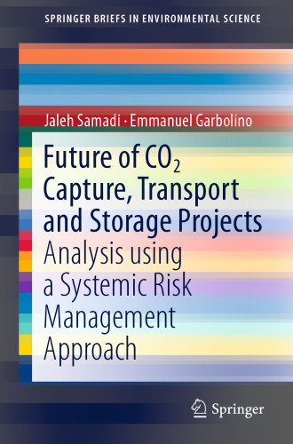  Future of CO2 Capture, Transport and Storage Projects: Analysis using a Systemic Risk Management Approach