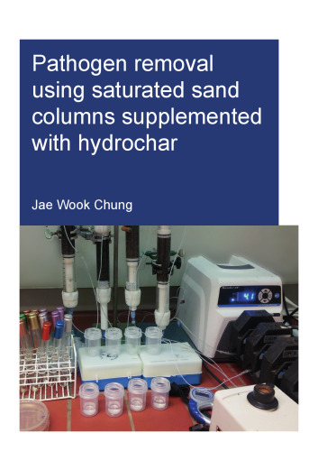 Pathogen removal using saturated sand colums supplemented with hydrochar