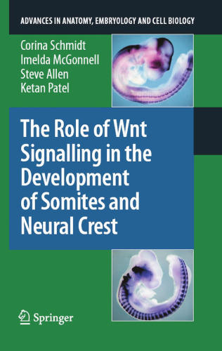 The role of Wnt signalling in the development of somites and neural crest