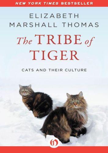 The Tribe of Tiger: Cats and Their Culture