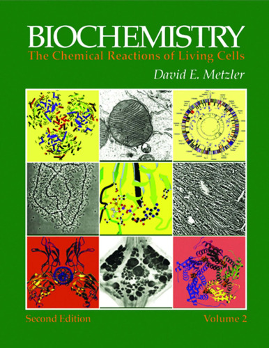 Biochemistry, Volume 2, Second Edition: The Chemical Reactions of Living Cells