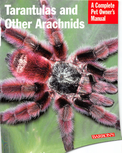 Tarantulas and Other Arachnids