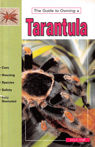 The Guide to Owning a Tarantula