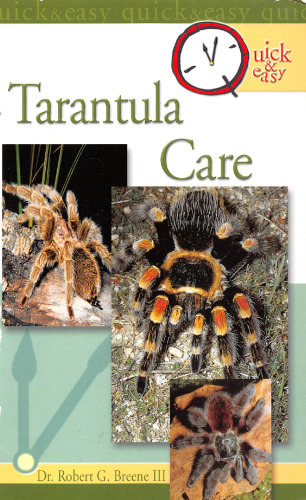 Quick & Easy Tarantula Care