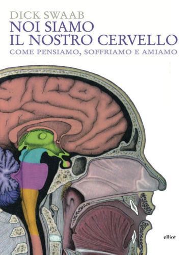 Noi siamo il nostro cervello. Come pensiamo, soffriamo e amiamo