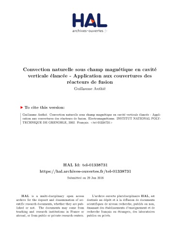 Convection naturelle sous champ magnétique en cavité verticale élancée - Application aux couvertures des réacteurs de fusion