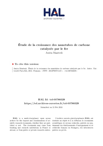 Étude de la croissance des nanotubes de carbone catalysée par le fer