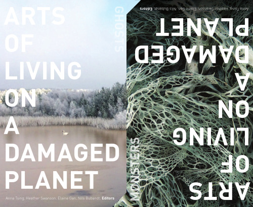 Arts of living on a damaged planet : ghosts of the anthropocene