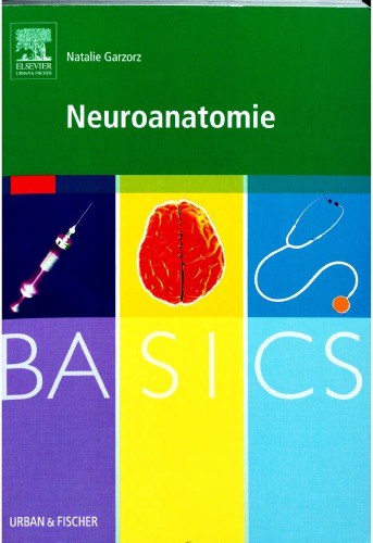 Neuroanatomie