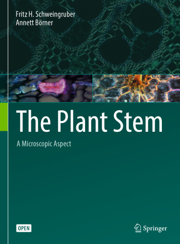 The Plant Stem