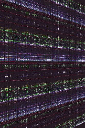 PCR Protocols