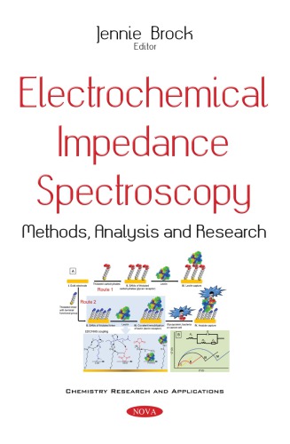 Electrochemical Impedance Spectroscopy.