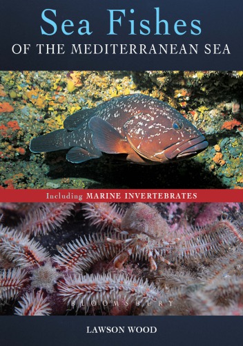 Sea Fishes of the Mediterranean: Including Marine Invertebrates