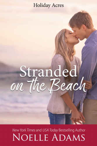 Stranded on the Beach (Holiday Acres, #1)