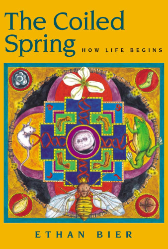 The Coiled Spring: How Life Begins