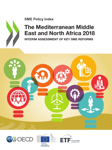 The Mediterranean Middle East and North Africa 2018 : Interim Assessment of Key SME Reforms