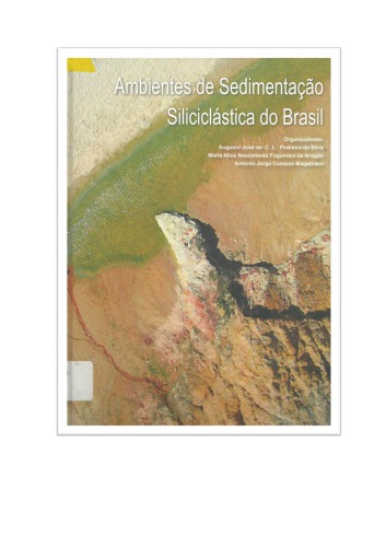 Ambientes de Sedimentação Siliclástica do Brasil