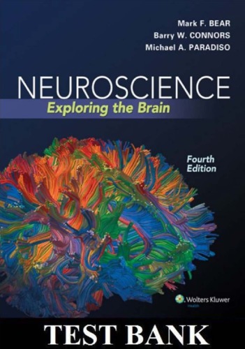 Neuroscience - Exploring the Brain