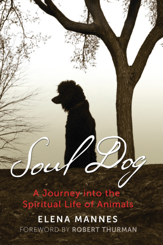 Soul Dog: A Journey into the Spiritual Life of Animals