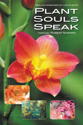 Plant Souls Speak: The Transformative Energies of Live Plants