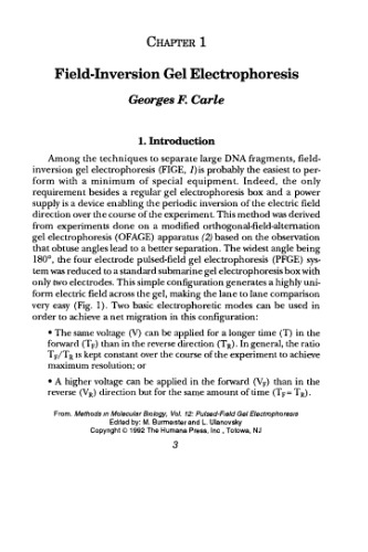 Pulsed-field Gel Electrophoresis: protocols, methods and theories