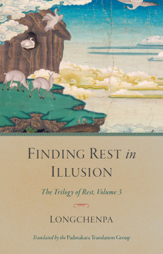 Finding Rest in Illusion: The Trilogy of Rest, Volume 3