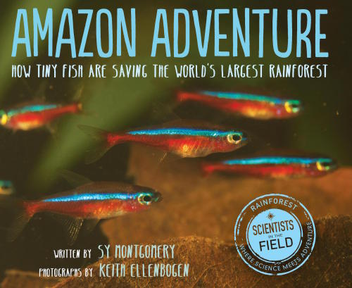 Amazon Adventure: How Tiny Fish Are Saving the World’s Largest Rainforest