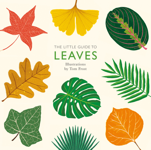 The Little Guide to Leaves