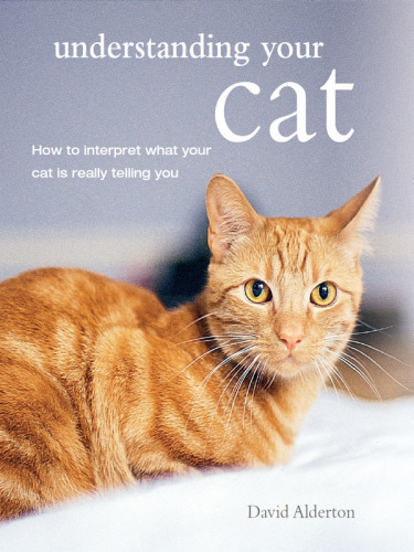 Understanding Your Cat: How to Interpret What Your Cat Is Really Telling You