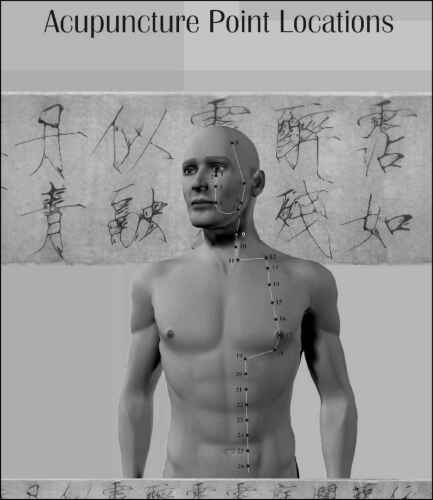 Acupuncture Meridian Point Locations Atlas