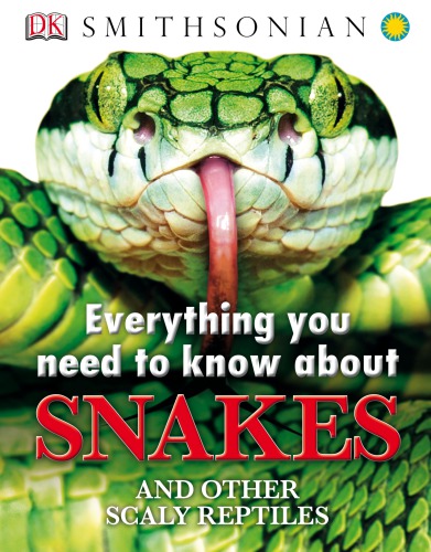 Everything You Need to Know About Snakes and Other Scaly Reptiles