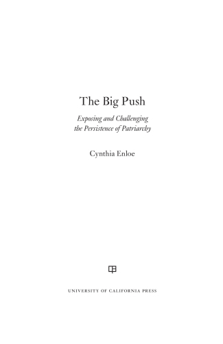 The Big Push: Exposing and Challenging the Persistence of Patriarchy