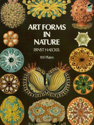 Art Forms in Nature