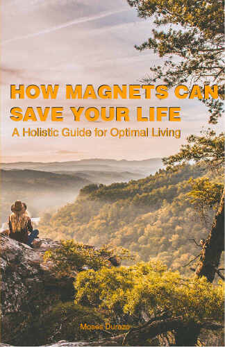 How Magnets Saved My Life