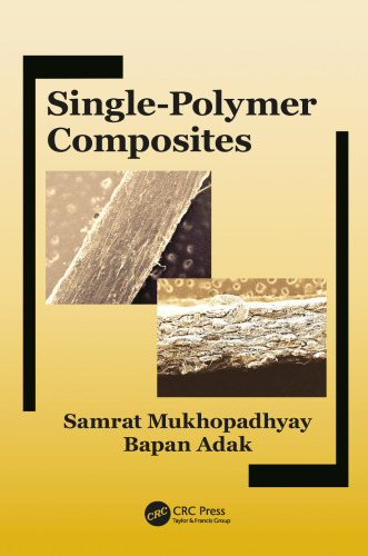 Single-polymer composites