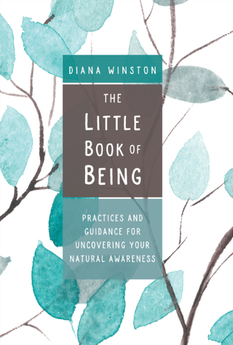 The Little Book of Being Practices and Guidance for Uncovering Your Natural Awareness