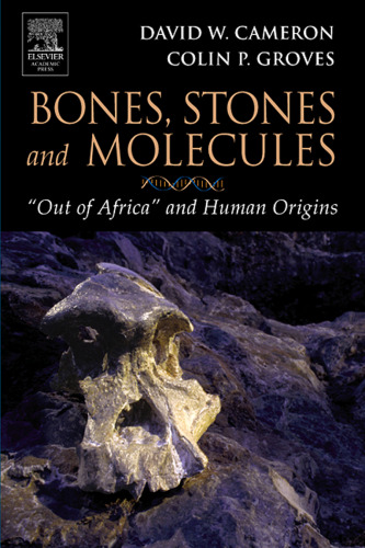 Bones, Stones and Molecules: 'Out of Africa' and Human Origins