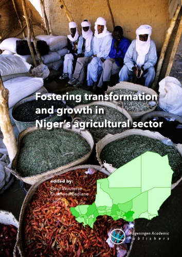 Fostering transformation and growth in Niger's agricultural sector