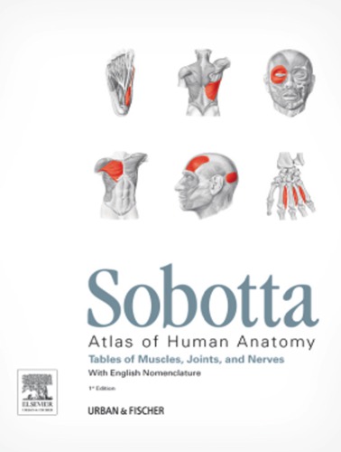 Sobotta - Tables of Muscles, Joints and Nerves