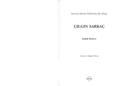 Çılgın Sarkaç