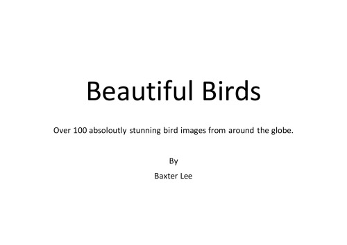 Beautiful Birds: Over 100 Absolutely Stunning Bird Images from around the Globe