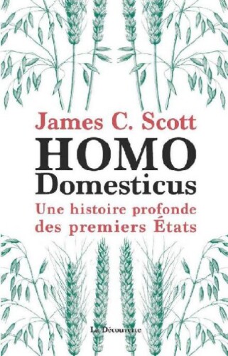 Homo Domesticus