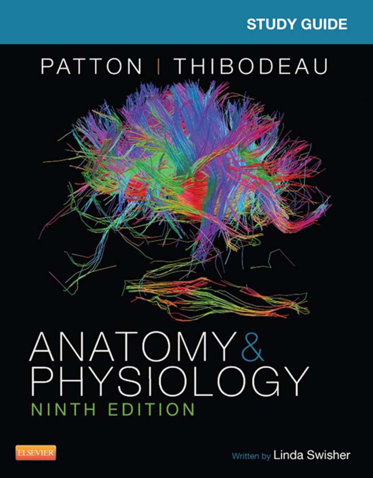 Study Guide for Anatomy & Physiology