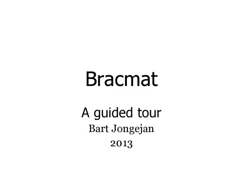 Bracmat Programming Language Guide