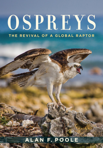 Ospreys: A Complete Guide to Their Biology, Behavior, and Conservation